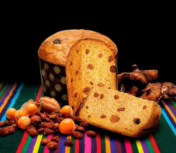 hongos del bosques  - panetón