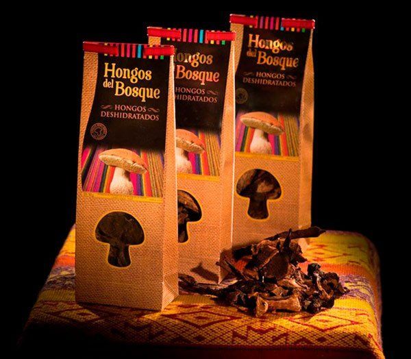 Hongos del bosque