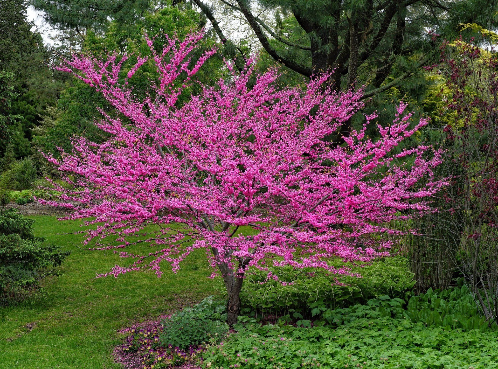 Landscape — Rochester, NH — ArborPro Plant Care Experts