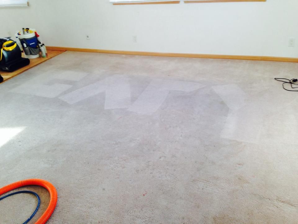 A room with a carpet and a vacuum on the floor