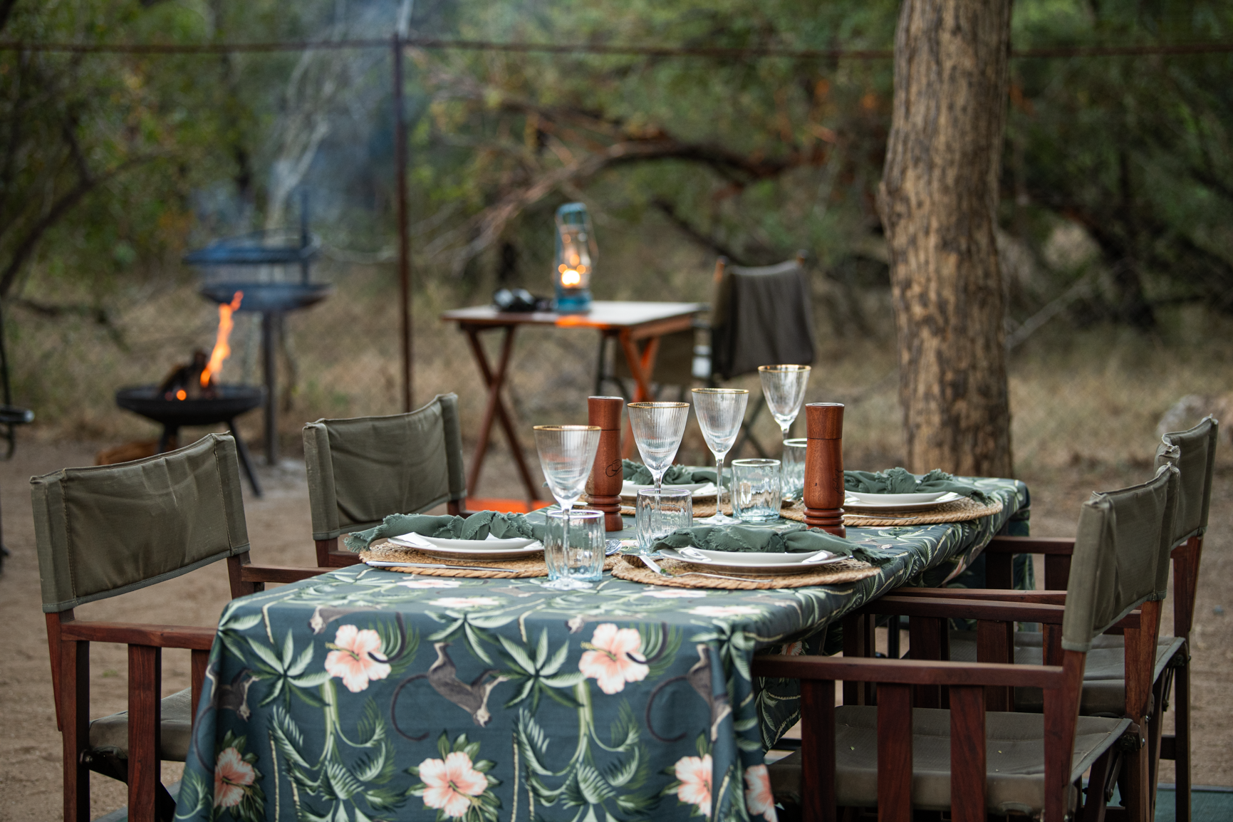 Outdoor dining setup in a forest setting with a table set for a meal, a fire, and a BBQ.