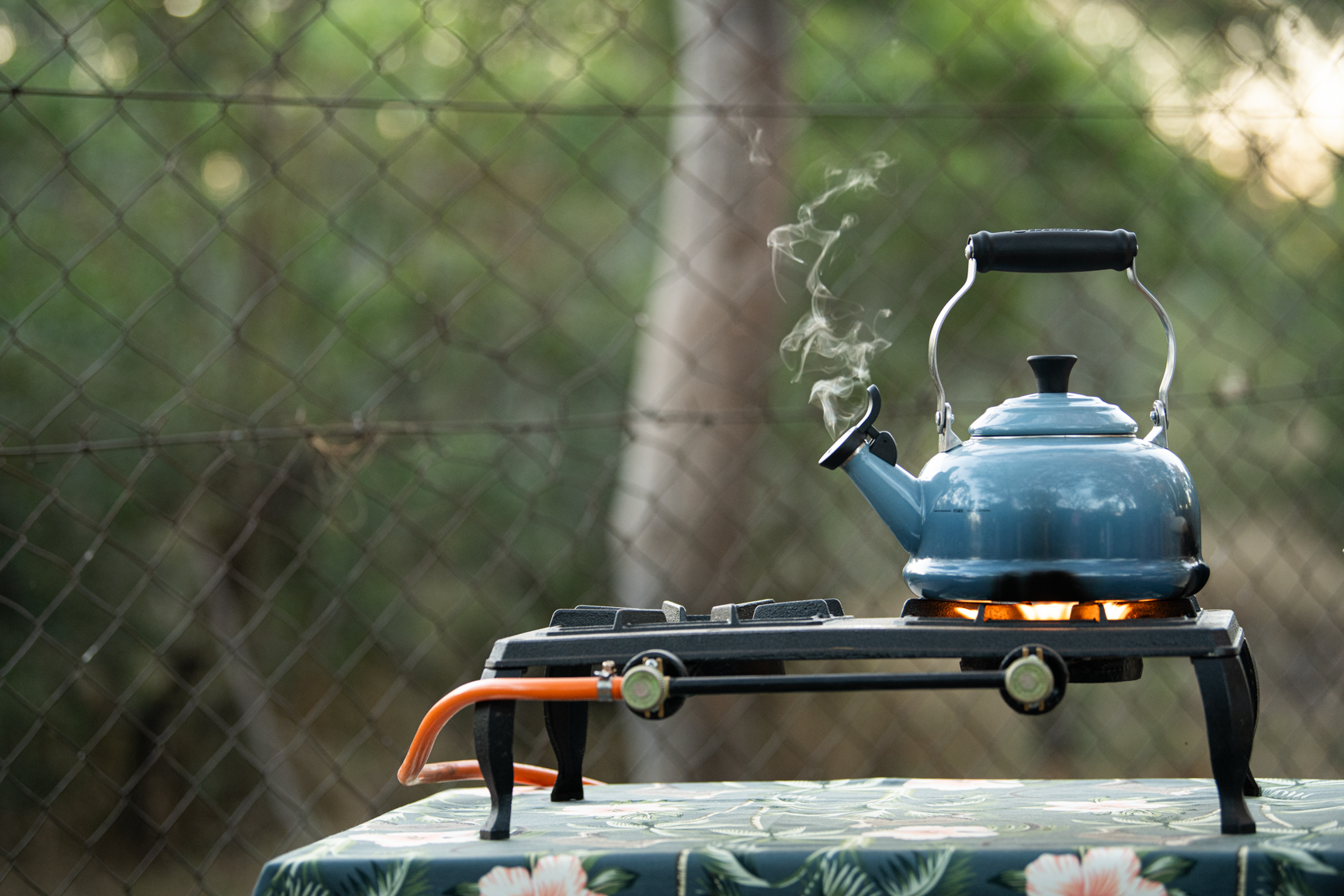Blue kettle steaming on a camp stove outdoors, with blurry greenery background.
