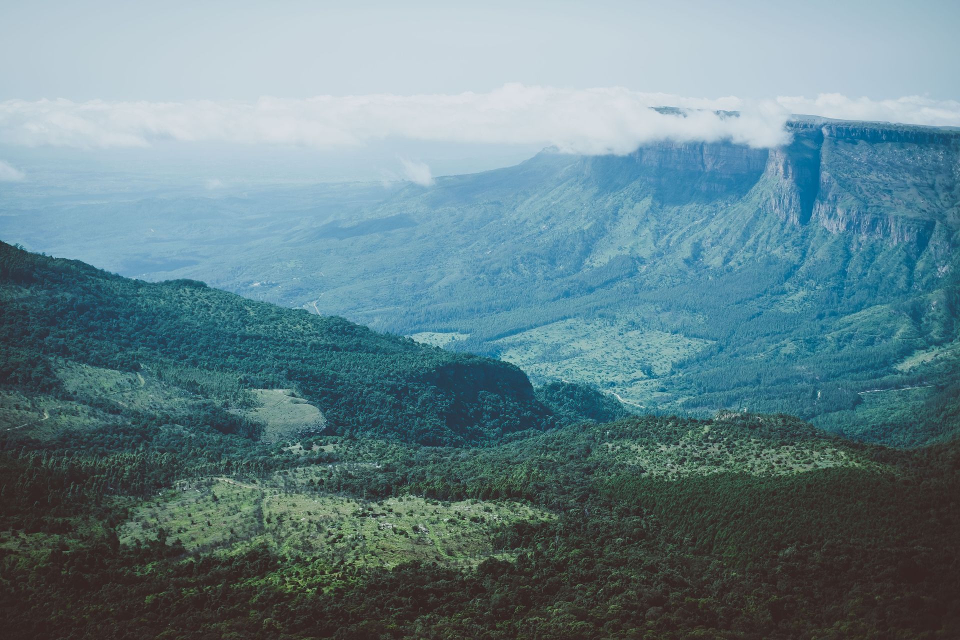A view of a mountain range with trees and mountains in the background.