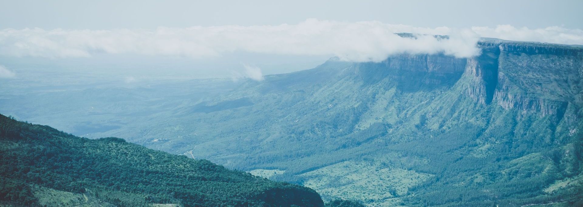 a mountain covered in trees with a cloudy sky in the background .