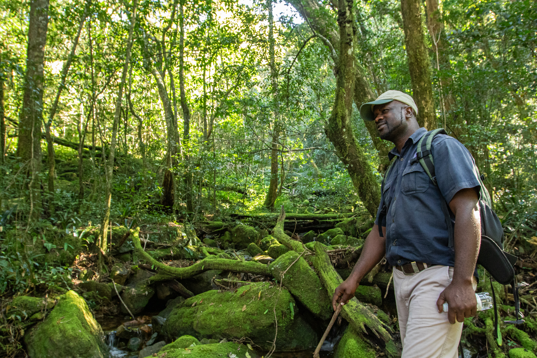 A man is standing in the middle of a lush green forest.