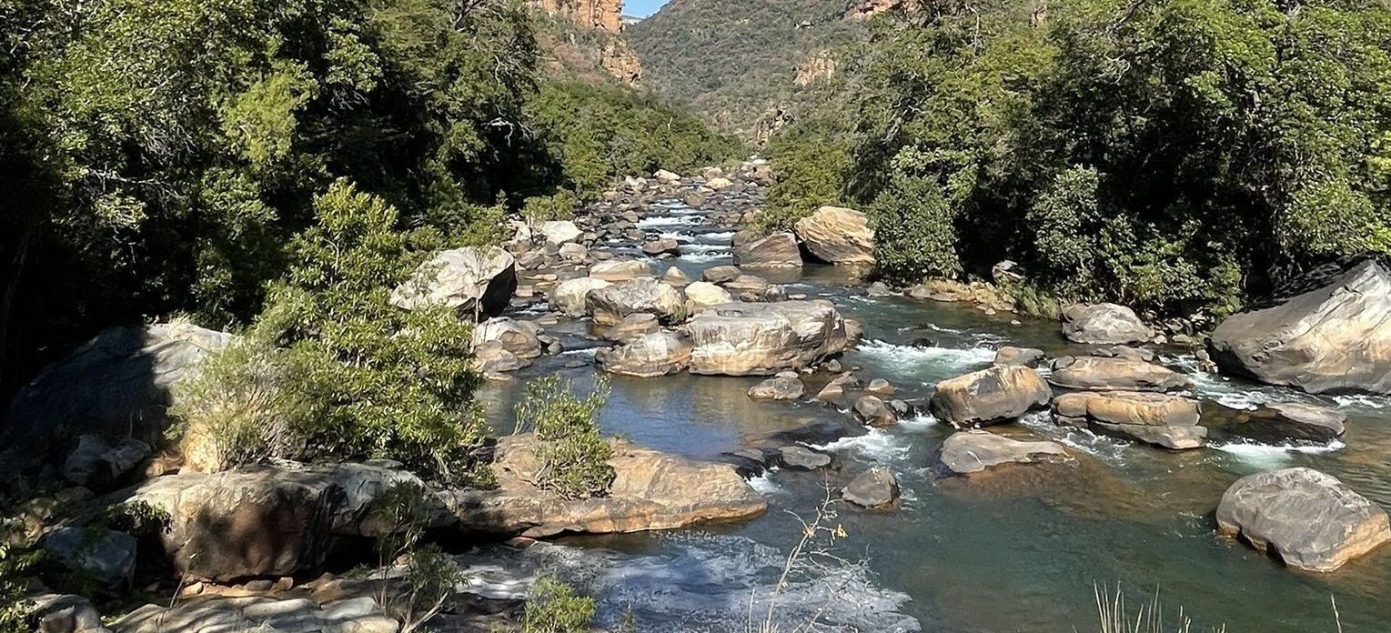 a river flowing through a lush green forest surrounded by rocks and trees .