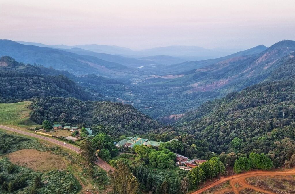 an aerial view of a valley surrounded by mountains and trees .