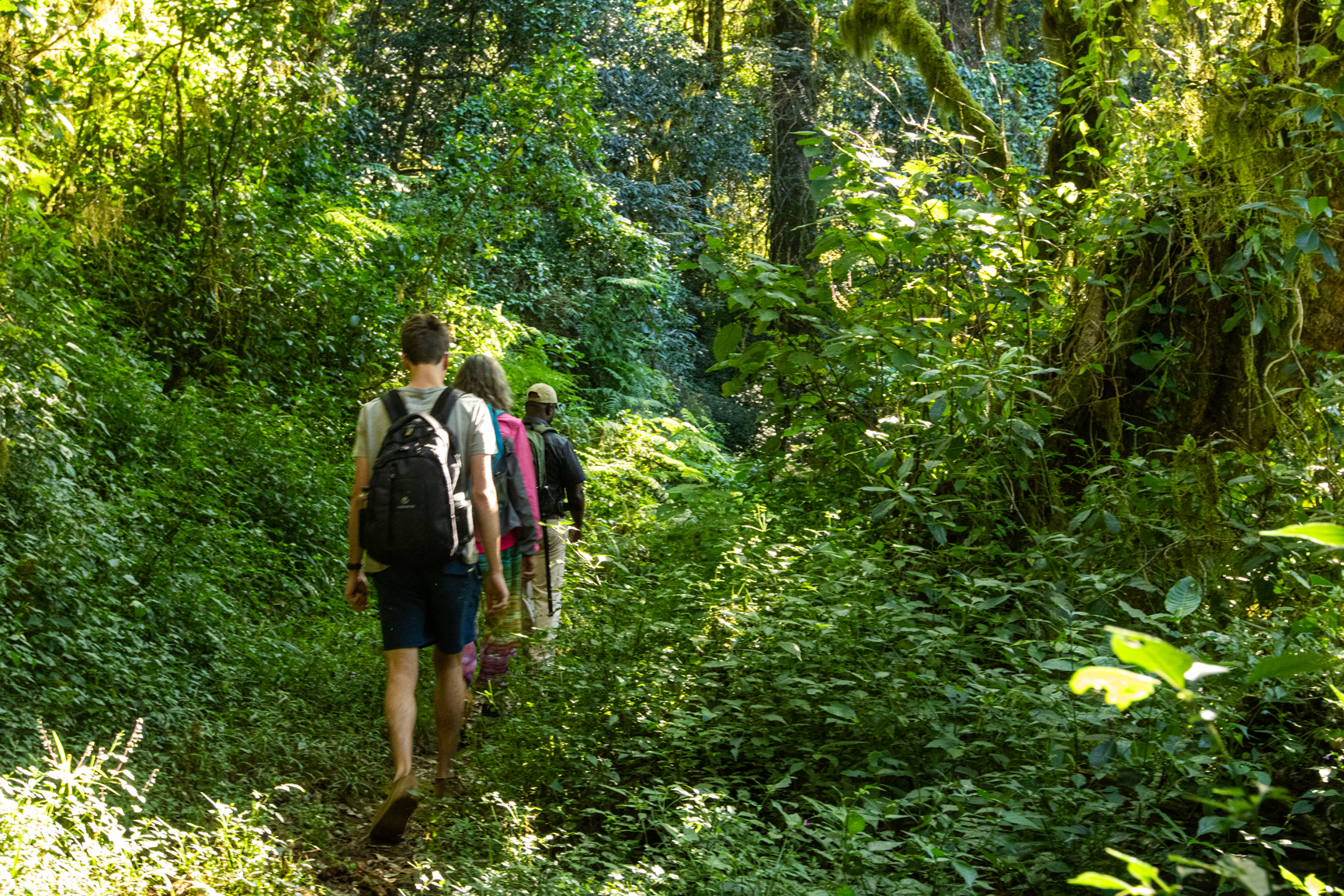 Sable Tours | mountain view