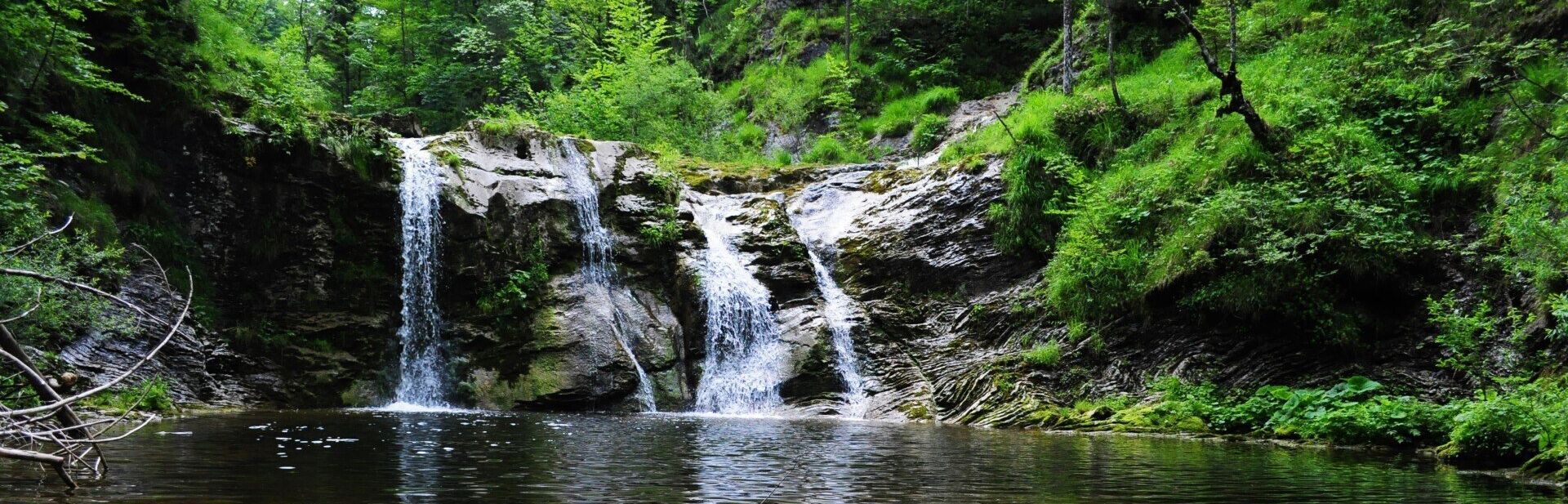 a small waterfall is surrounded by trees and rocks in the middle of a forest .