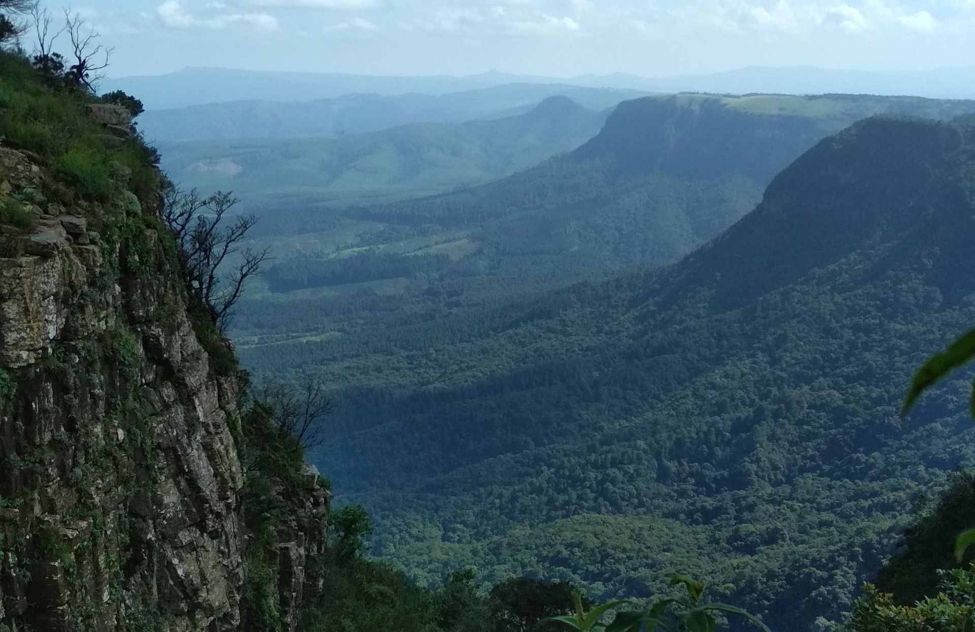 a view of a valley surrounded by mountains and trees from a cliff .