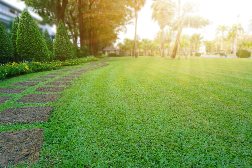 A lush green lawn with a path leading to it in a park. — Cooloola Coast Property Maintenance in Tin Can Bay, QLD