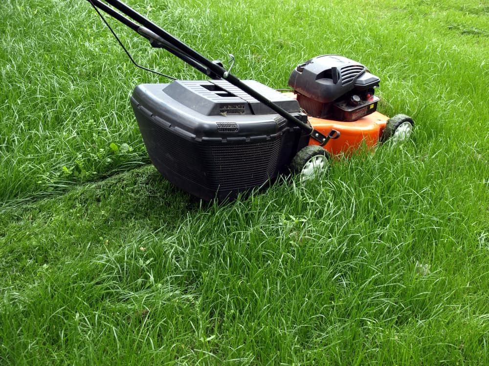 A lawn mower is cutting a lush green lawn. — Cooloola Coast Property Maintenance in Tin Can Bay, QLD