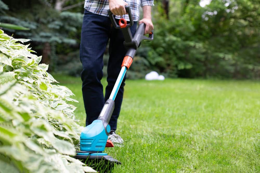 Person using a teal and black weed eater to trim grass near a garden bed — Cooloola Coast Property Maintenance in Tin Can Bay, QLD