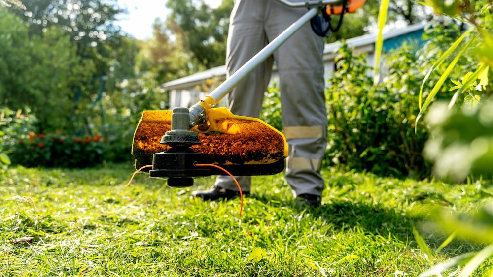 Person using a yellow string trimmer to cut grass in a yard — Cooloola Coast Property Maintenance in Tin Can Bay, QLD