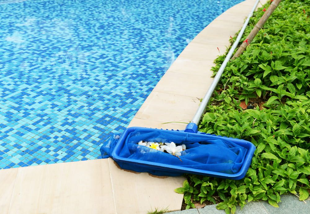 A blue cleaning net is sitting on the edge of a swimming pool. — Cooloola Coast Property Maintenance in Rainbow Beach, QLD