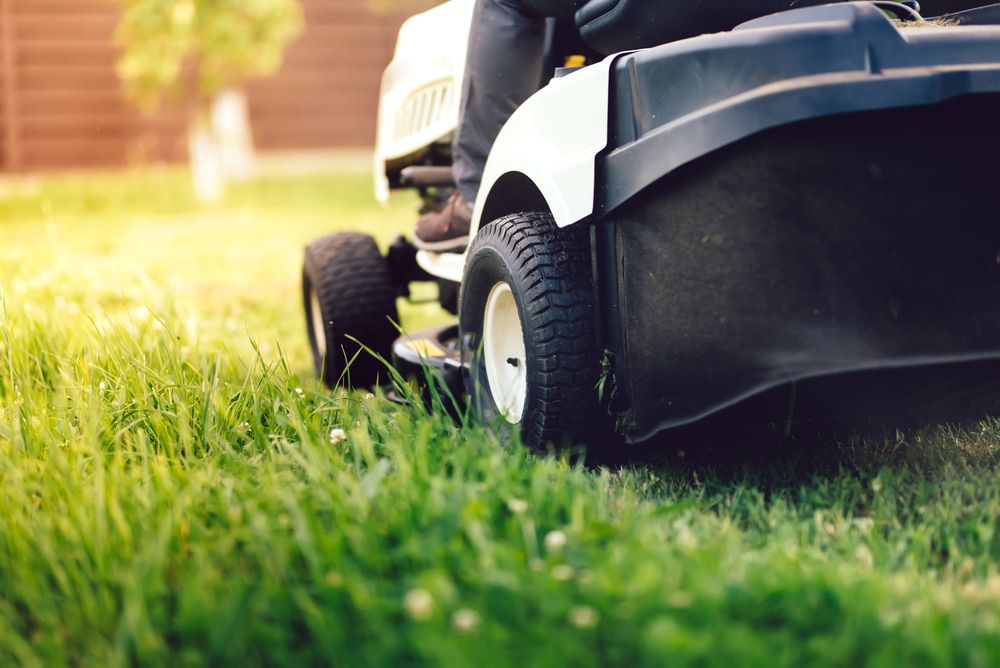 A person is riding a lawn mower on a lush green lawn. — Cooloola Coast Property Maintenance in Rainbow Beach, QLD