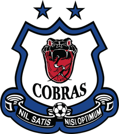 Cobras Logo - Snake