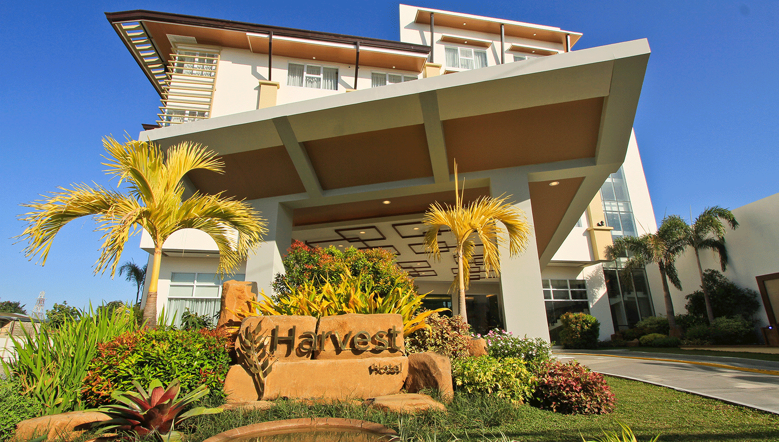 Modern building entrance with a large canopy, palm trees, and a Harvest sign in front under a blue sky