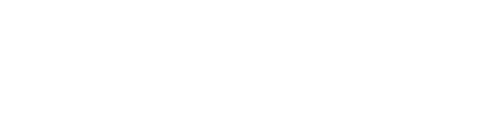 Mostly blank white horizontal bar with thin light-gray border