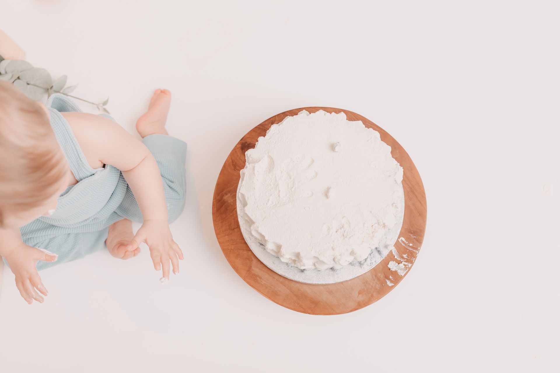 Cake+Smash+Shooting+Wiener+Neustadt