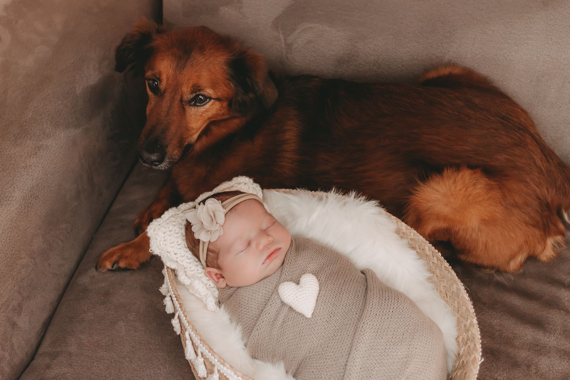 Newborn+Homestory+Wiener+Neustadt