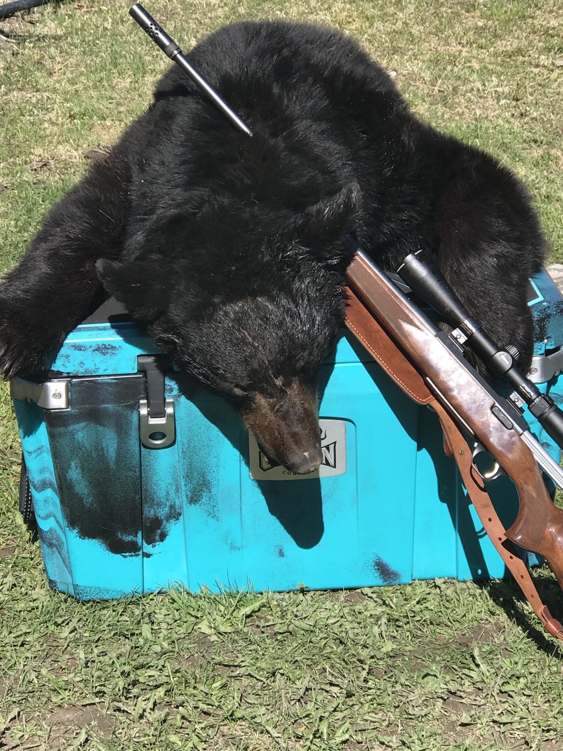 Nakina, Ontario Canada Bear Hunt, Canada Bear Hunting, Guide