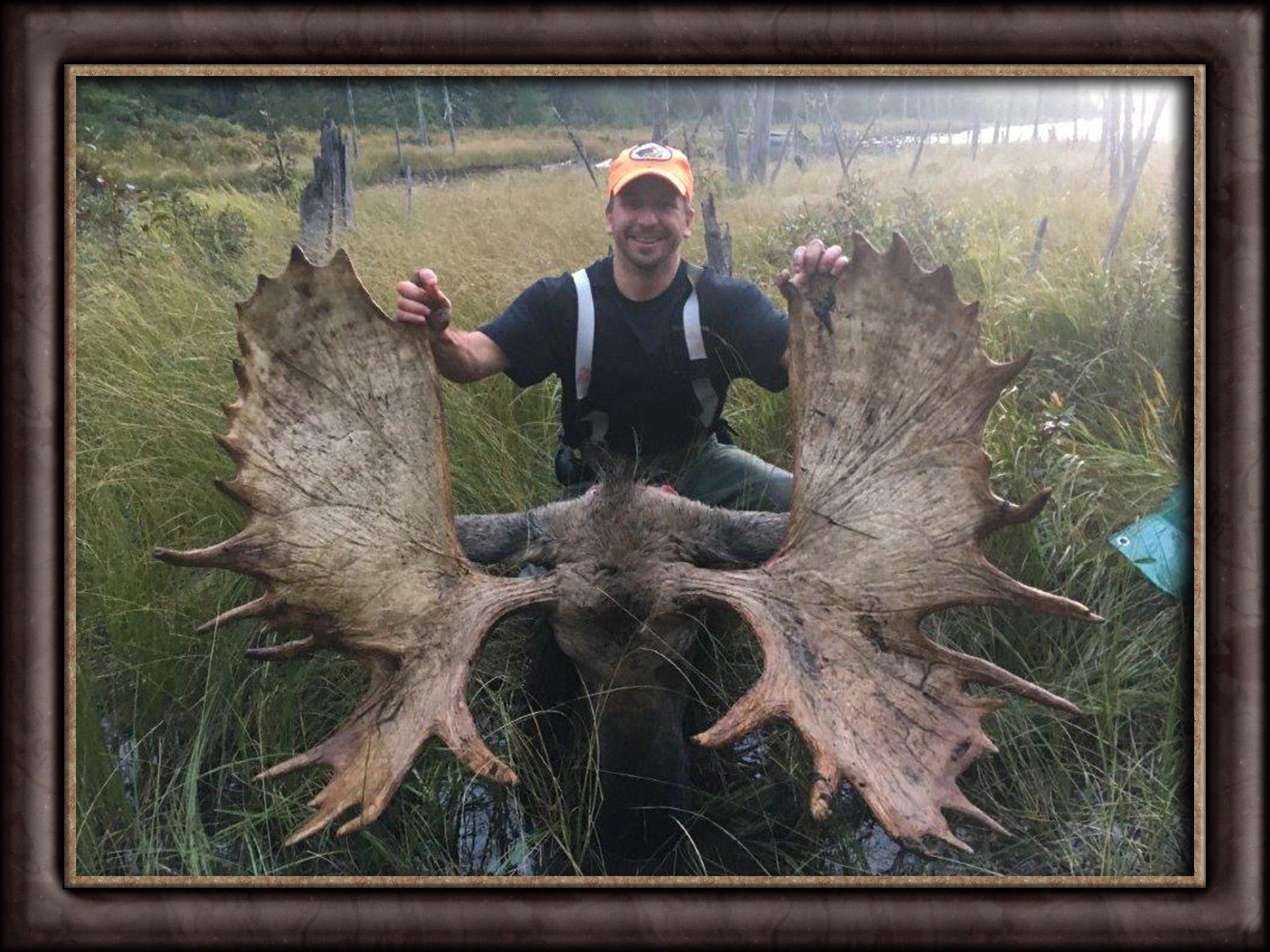 Canada Moose hunting, Canada moose hunt