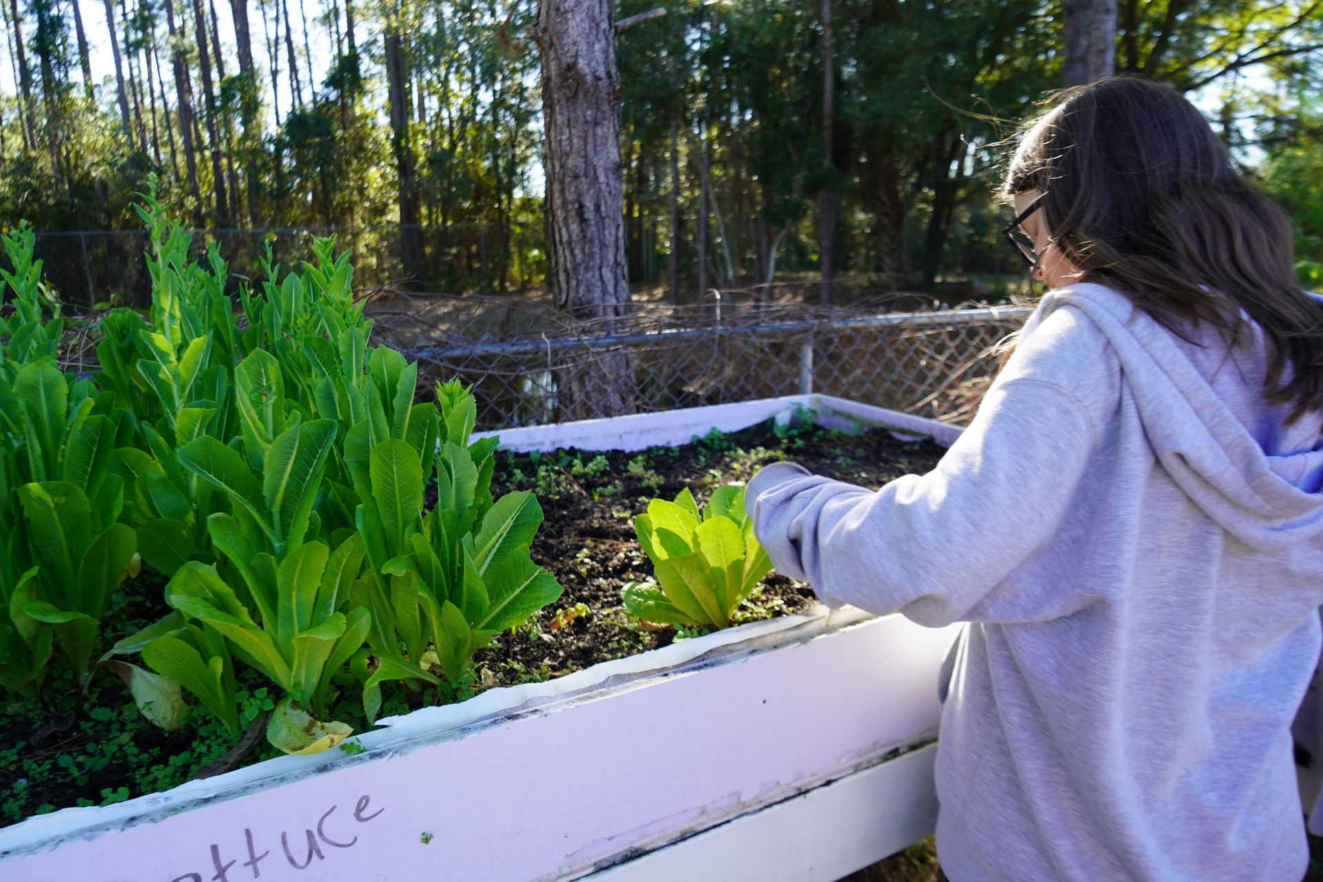 Student Gardens 