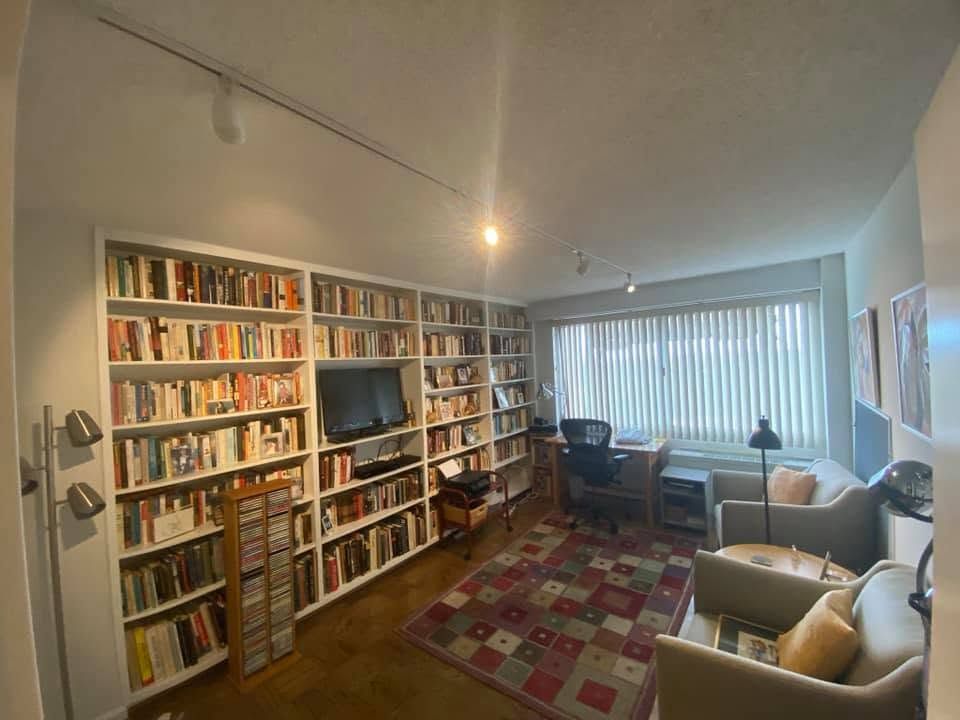 Bright living room with wall-to-wall bookshelves, TV, red patterned rug, and a desk by a large window