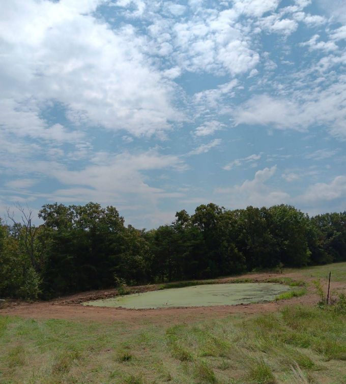 Grassy field with a small pond or marsh, bordered by trees under a cloudy blue sky
