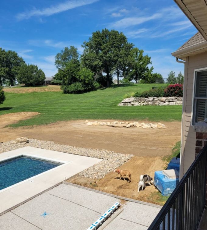 Backyard patio with a pool, lawn, trees, and two small dogs near a blue bag