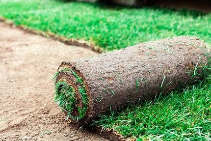 Rolled-up artificial grass carpet beside a dirt path on a green lawn