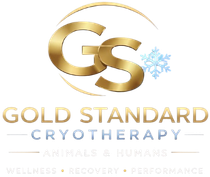 Gold Standard Cryotherapy logo with gold “GS” and blue snowflake icon
