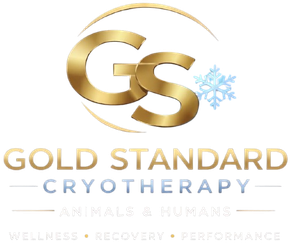 Gold Standard Cryotherapy logo with gold “GS” and blue snowflake icon