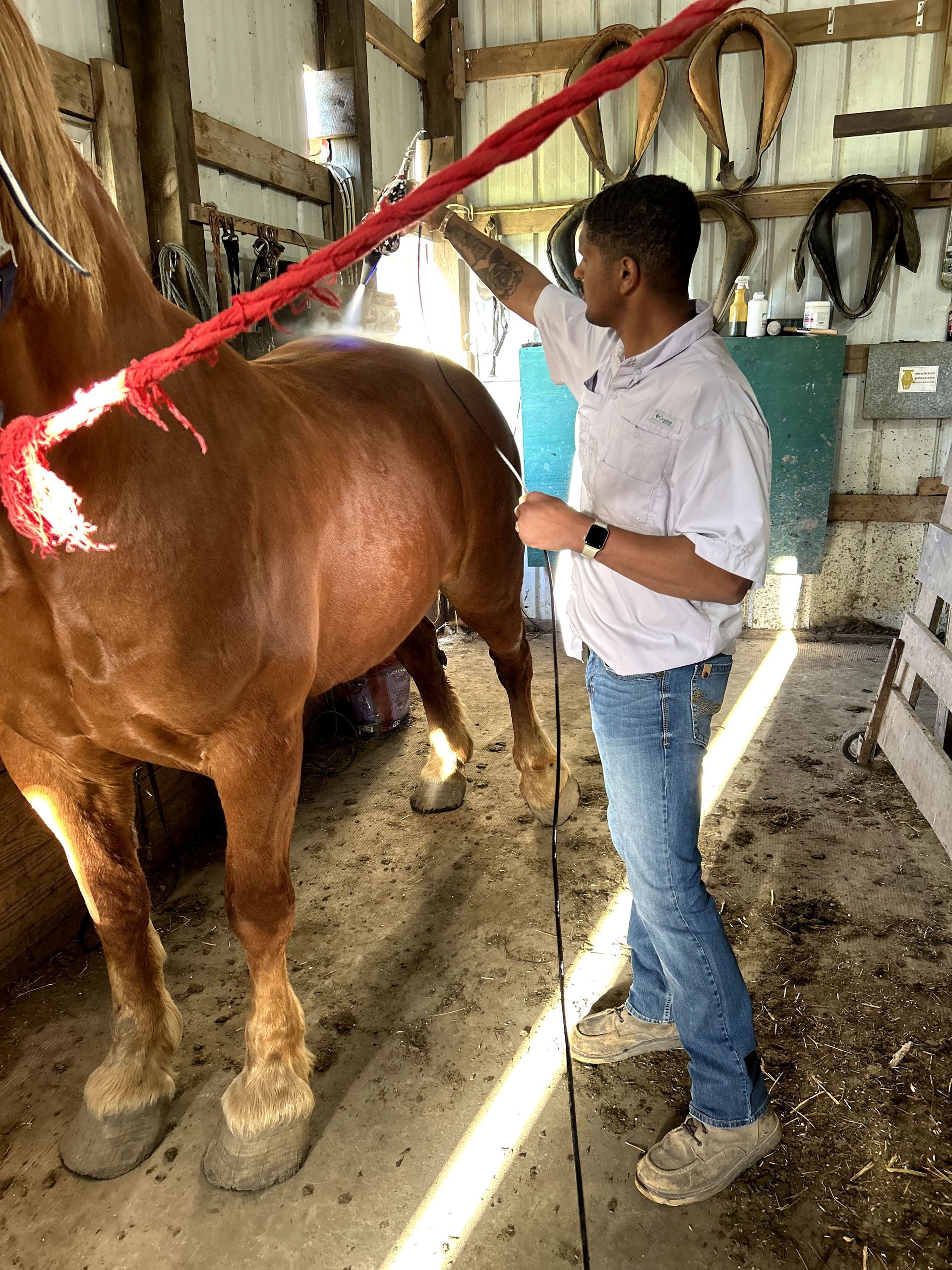 Person standing beside a brown horse in a stable, holding a red lead rope.