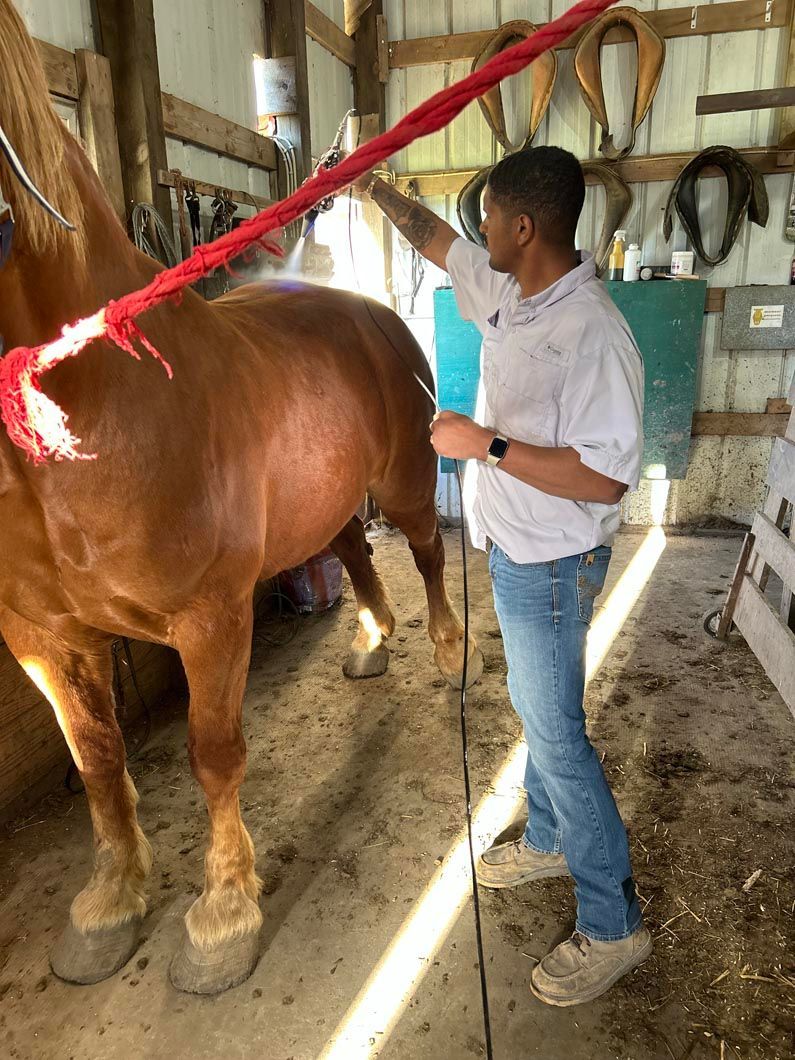 Person standing beside a brown horse in a stable, holding a lead rope.