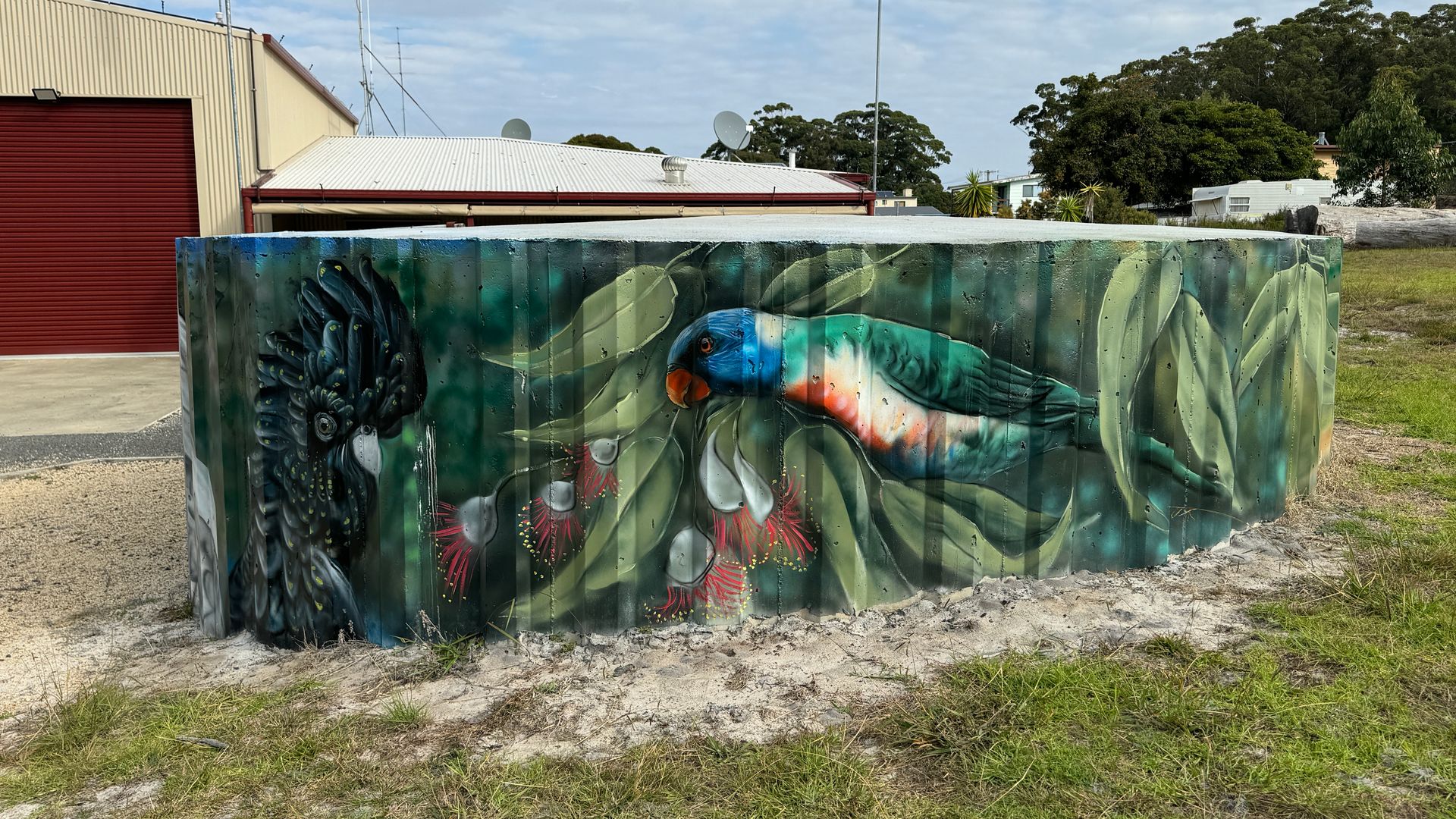 Bemm River Water Tank Art