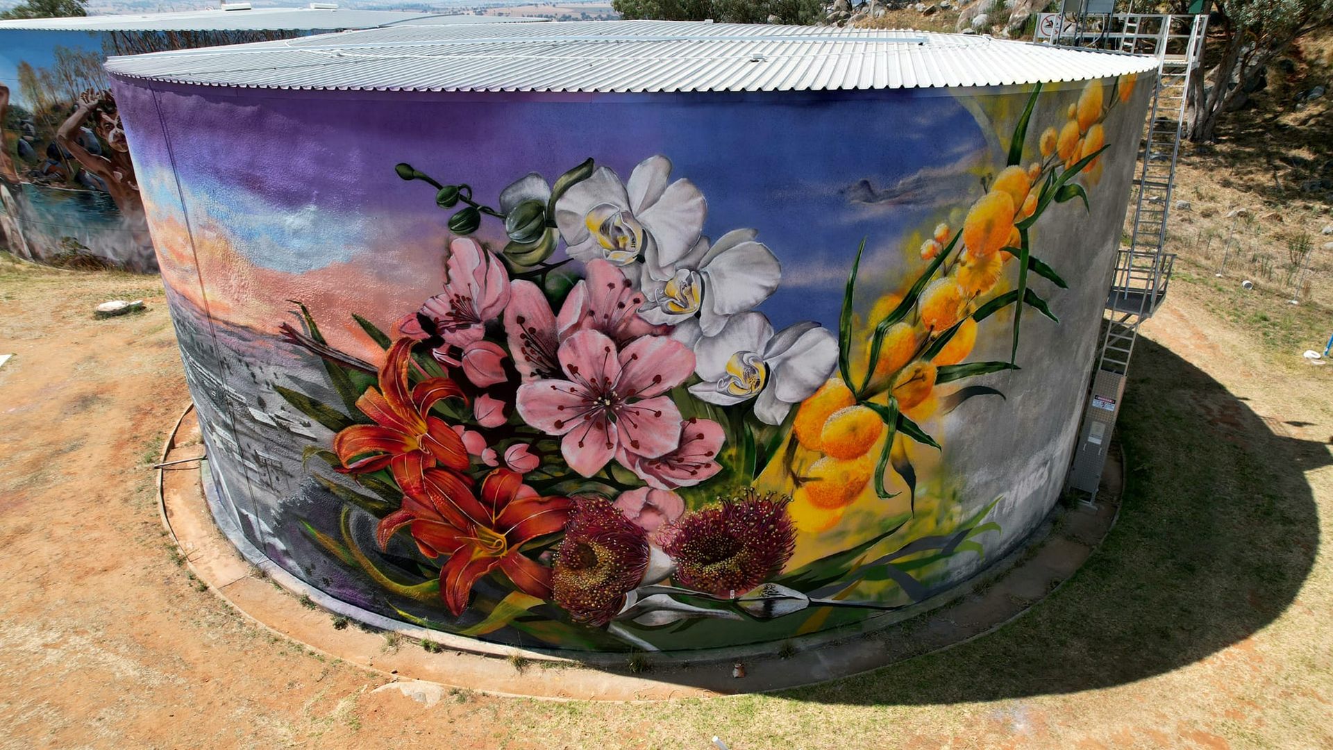 Cowra Water Tower Art — free download