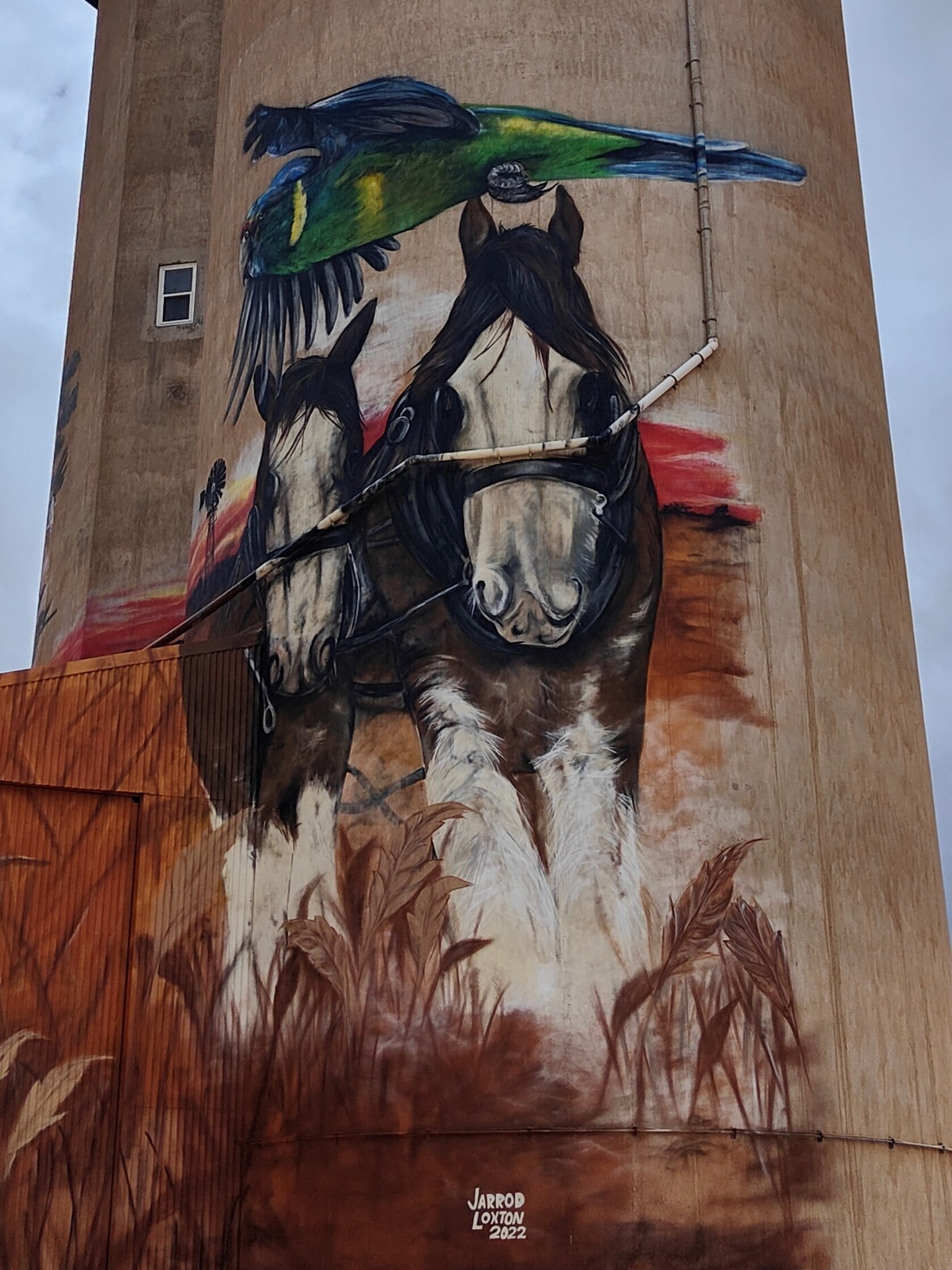 How The Silo Cast Transformed Their Lives For The Show! - jq9o7it