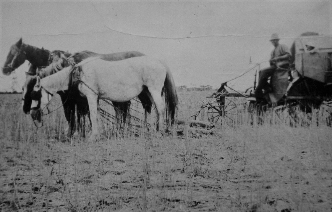 Pingrup's First Mailman - Lance Reid