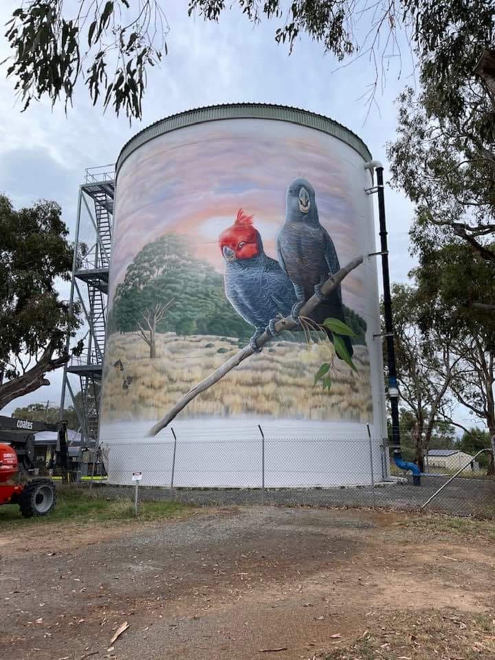 Murrumbateman Water Tank Art