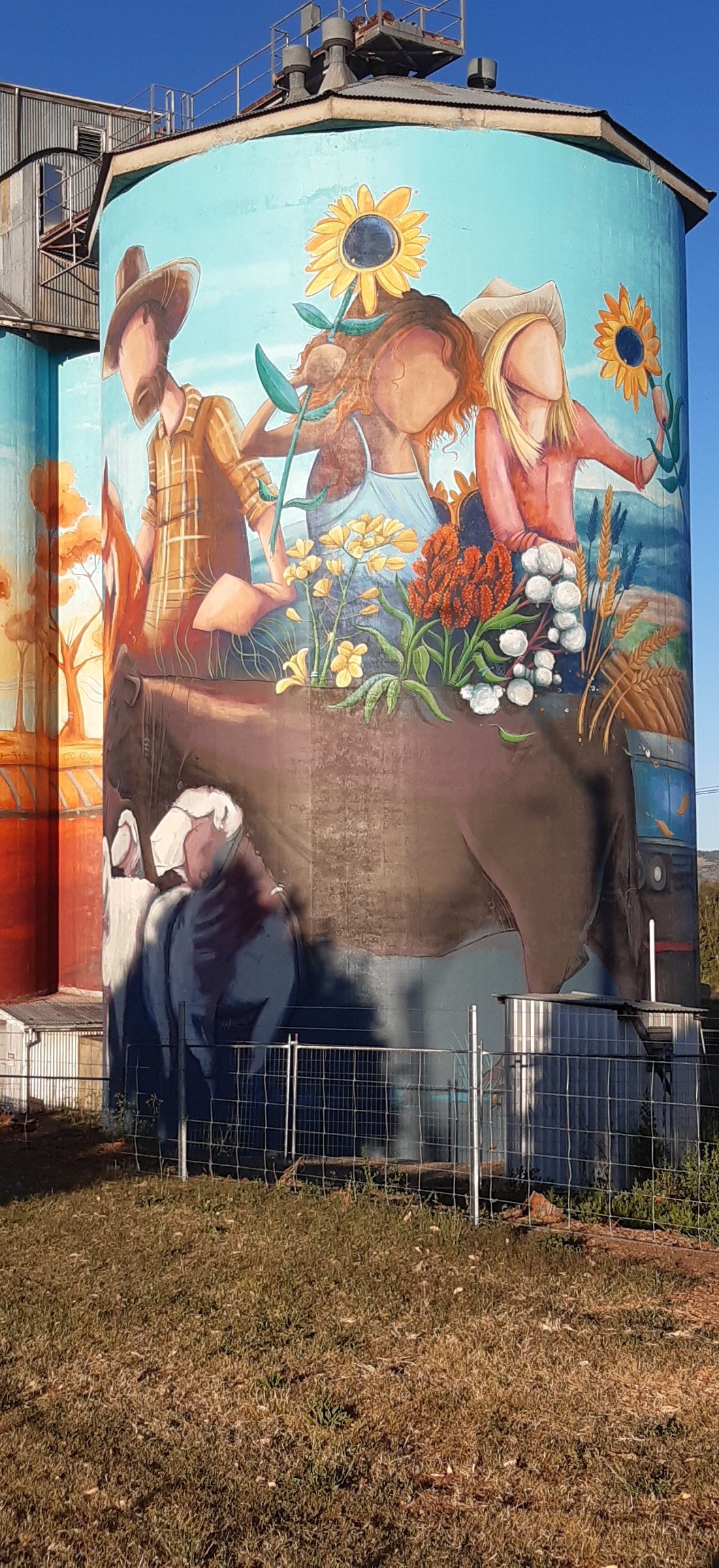 Quirindi Silo Art