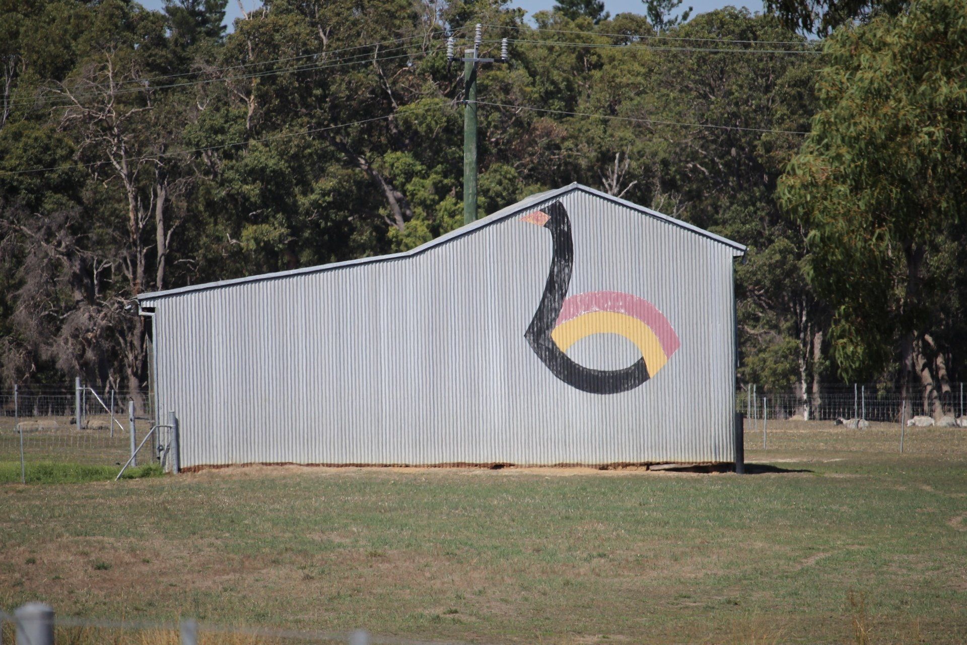 Collie Street Art, Australian Silo Art Trail