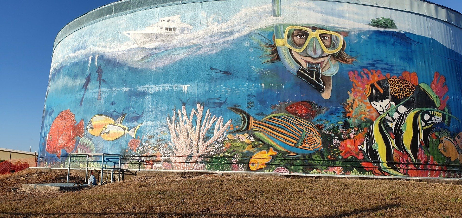 Bowen water tower art