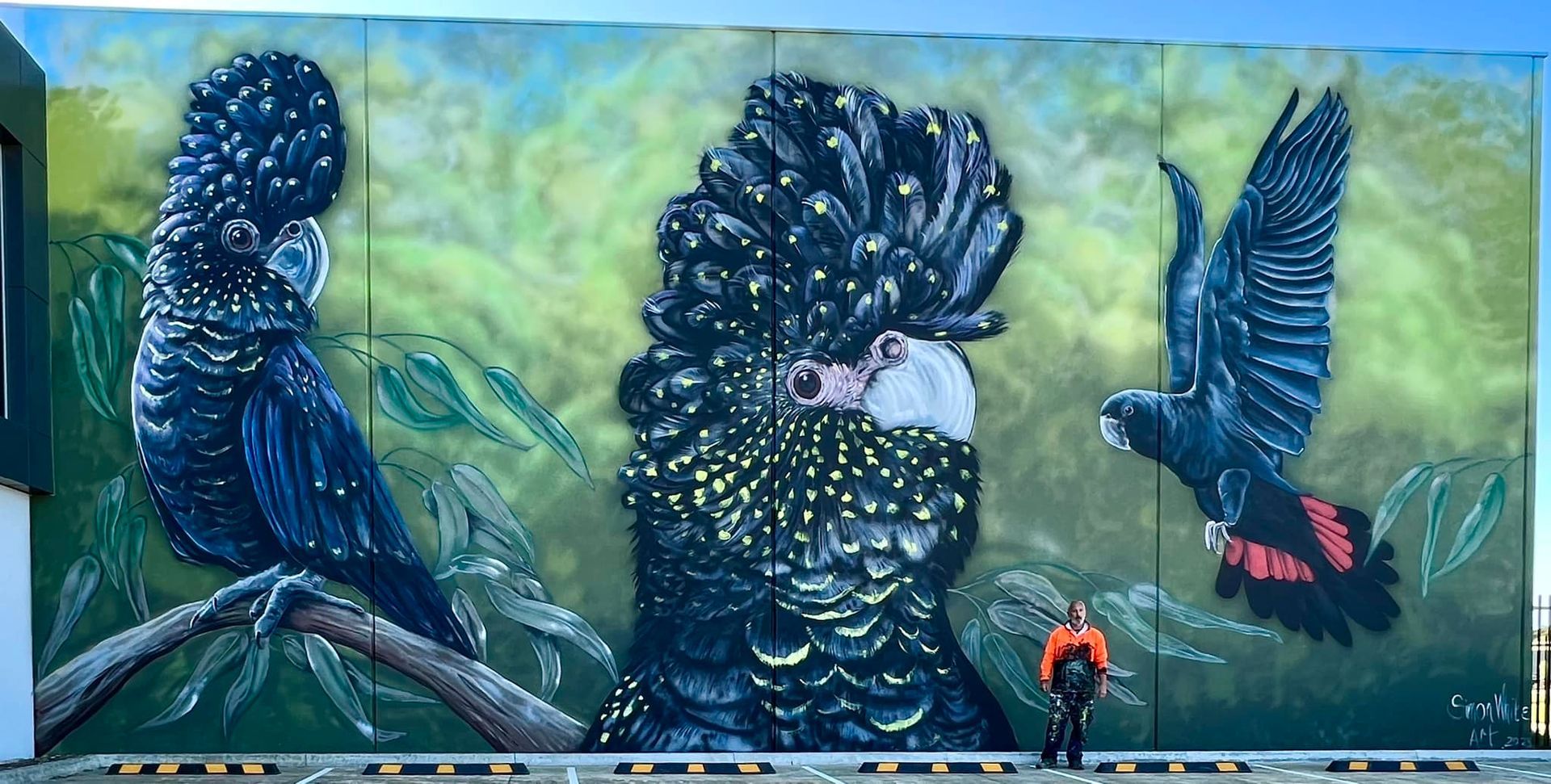 Sam Brooks Artist, Australian Silo Art Trail