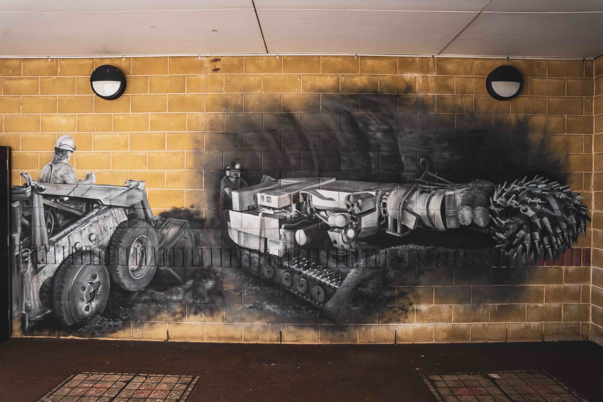 Jacob Butler (Shakey) Australian Silo Art Trail
