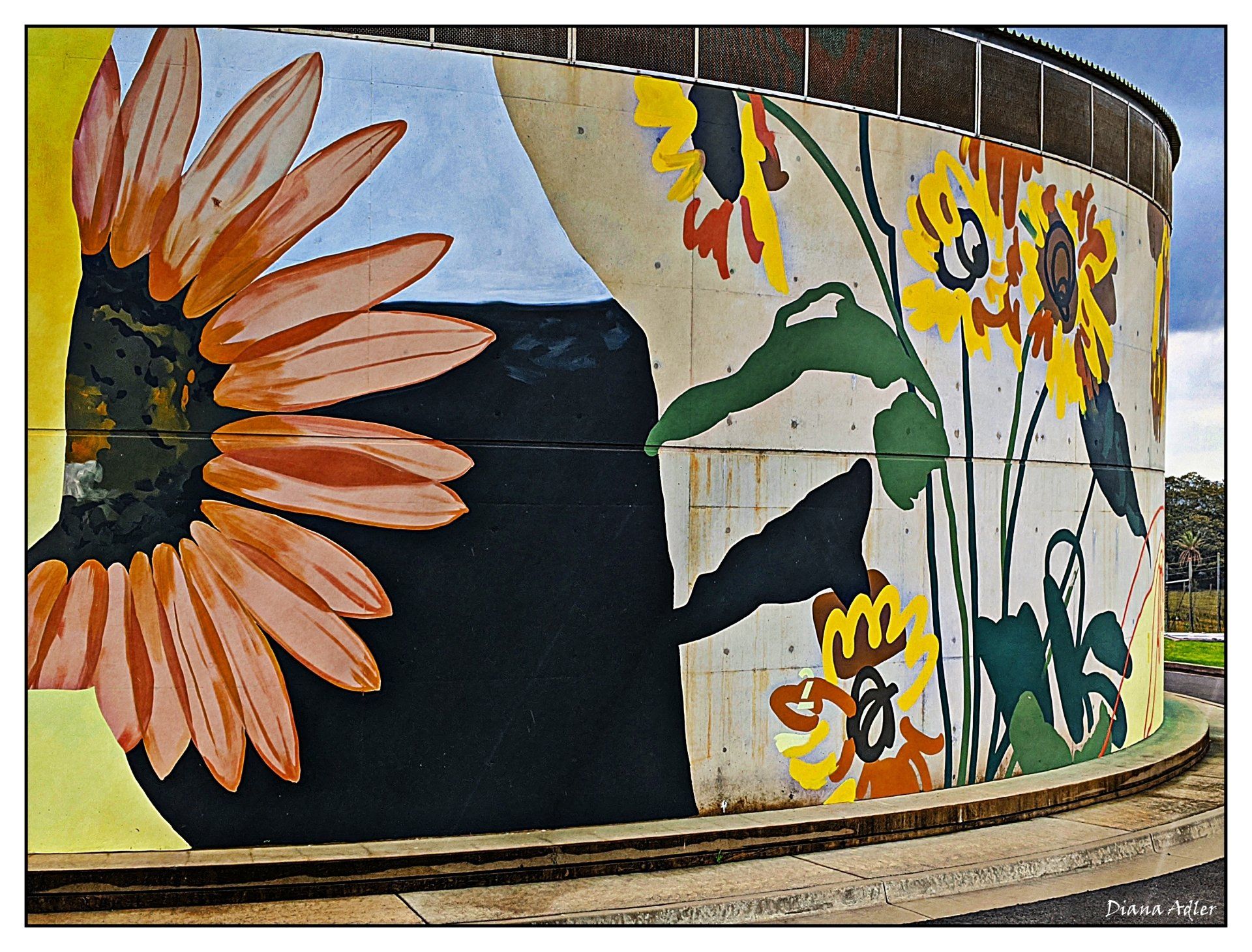 Ballina Water Tank Art, Australian Silo Art Trail