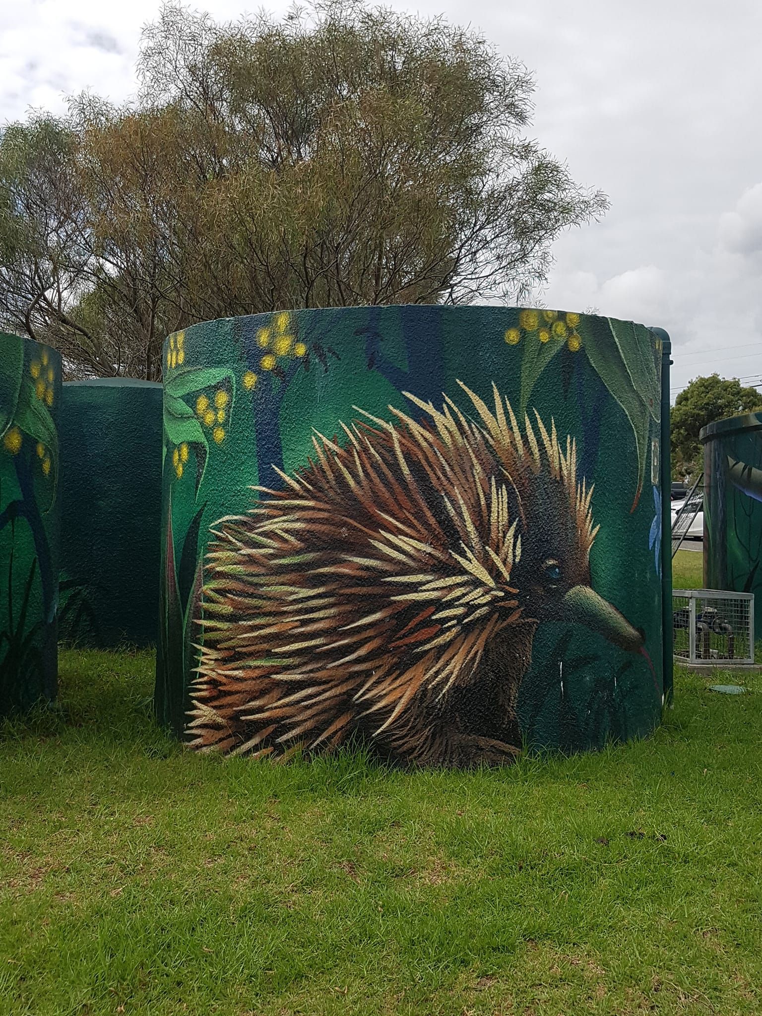 Barden Ridge Water Tank Art, Australian Silo Art Trail