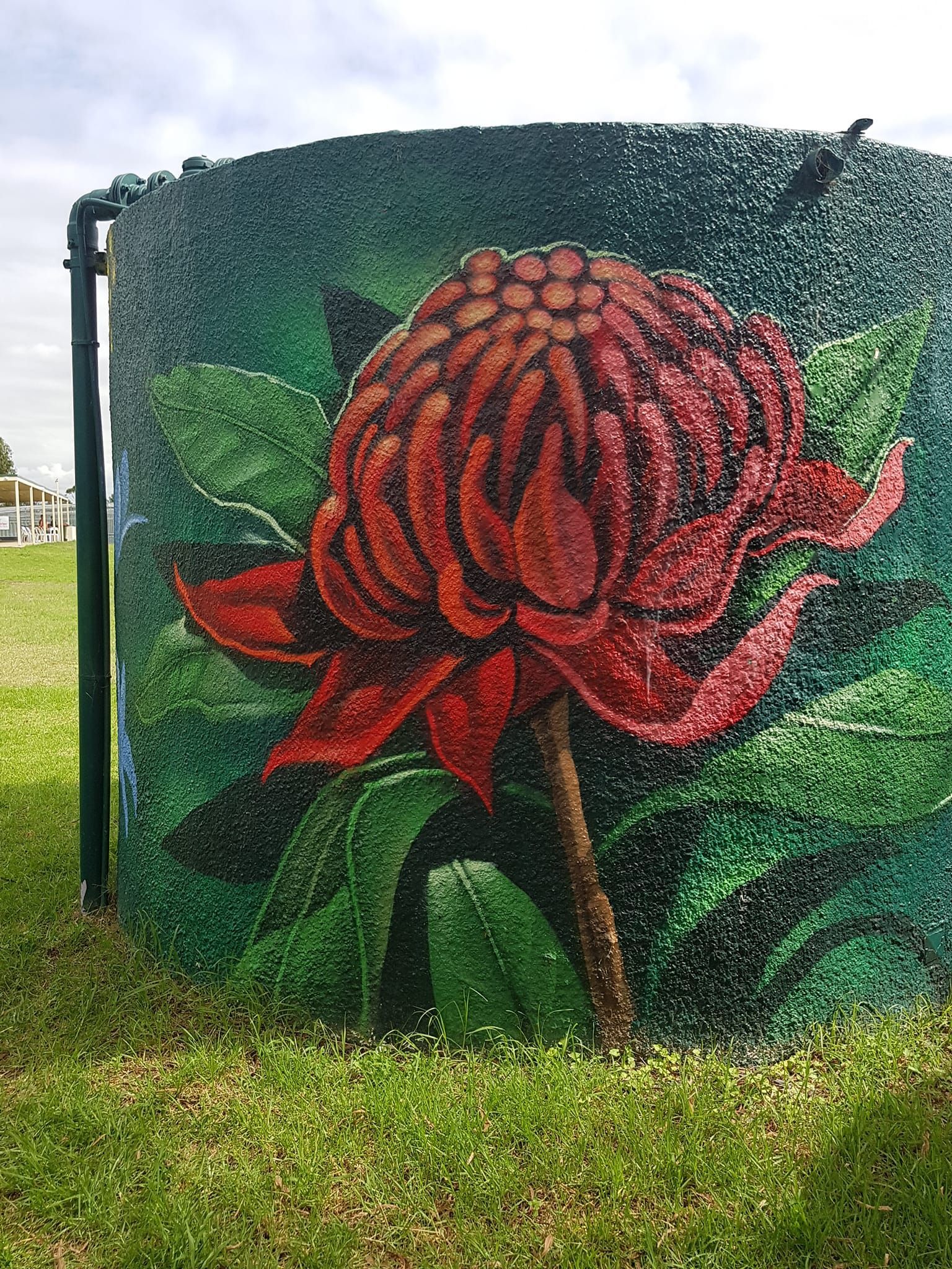Barden Ridge Water Tank Art, Australian Silo Art Trail