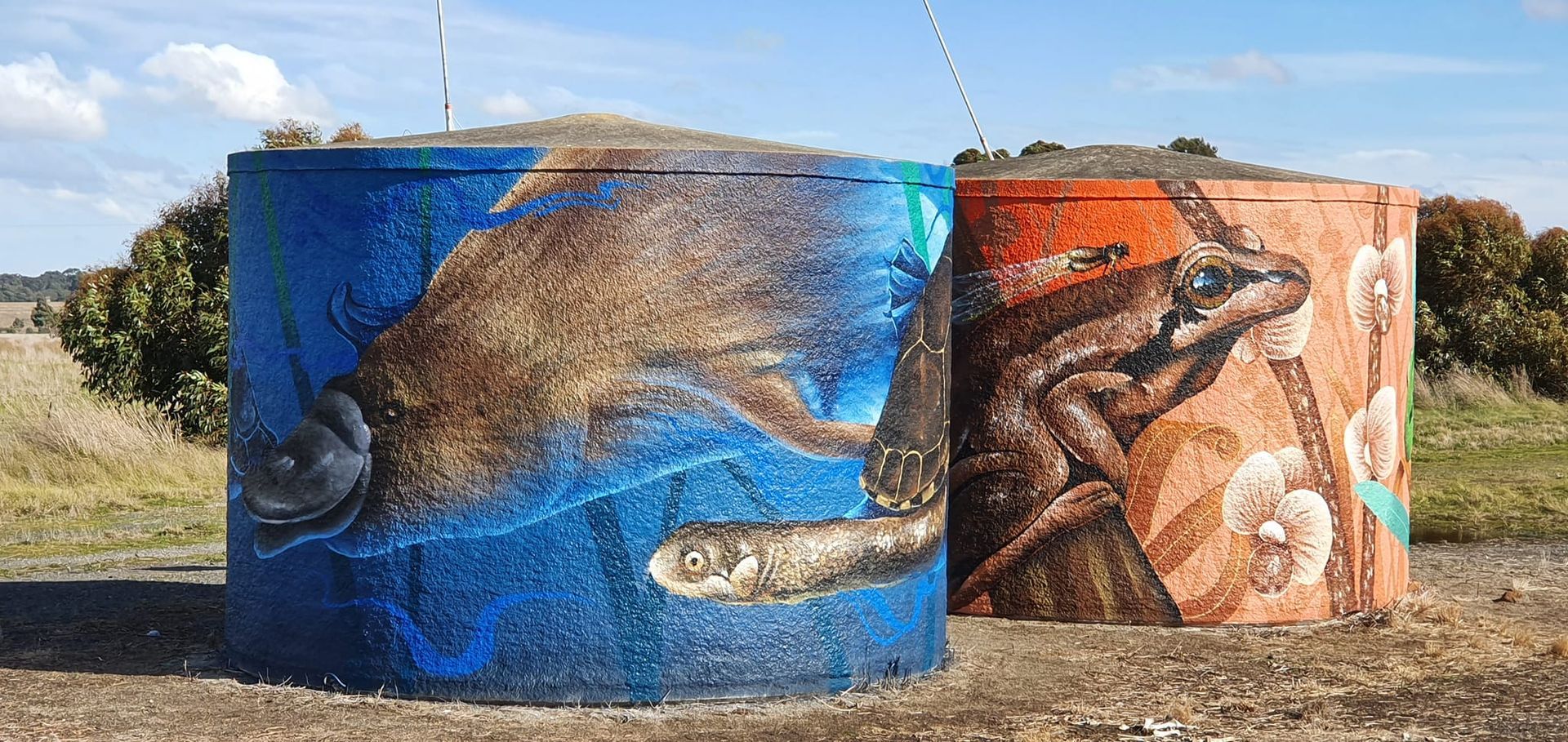 Clarkefield Water Tank Art, Australian Silo Art Trail